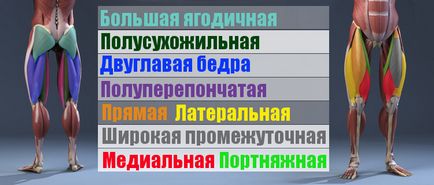 Присідання зі штангою на плечах як правильно присідати техніка виконання фото