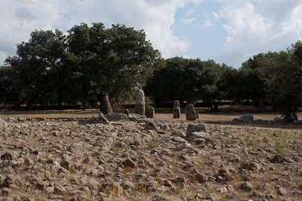 Пробкові дерева Сардинії фотографії