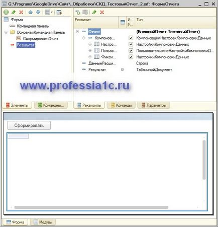 Profesie - 1s - raport de ieșire prin software