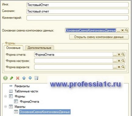 Profesie - 1s - raport de ieșire prin software