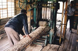 Producția de echipamente de cherestea (mașini, cherestea), tehnologia de fabricație, uscare