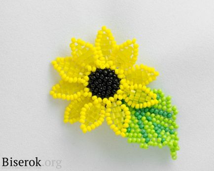 Floarea-soarelui simplă