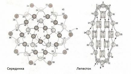 простий соняшник