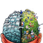 Dezvoltarea emisferelor creierului (partea 1)