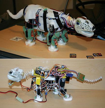 Robot dinozaur pleo