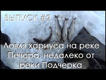 Російська рибалка 3 ловля окуня на сайті