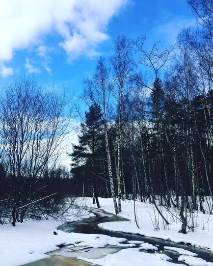 Parcul forestier Rzhevsky din cartierul Vsevolozhsk Vsevolozhsk, telefon, adresa, fotografii, comentarii