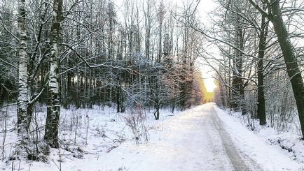 Rzhevskij горски парк в Vsevolozhsk Vsevolozhsk площ, телефон, адрес, ревюта, снимки