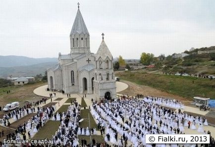 Найбільша колективна весілля в світі, фіалки (сенполії)