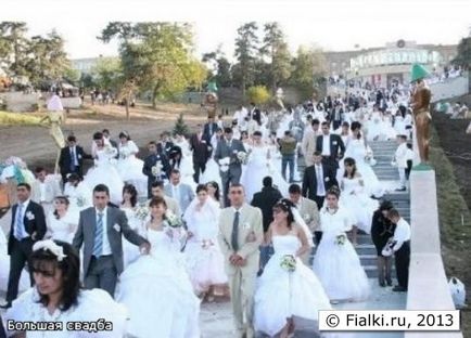 Cea mai mare nunta colectiva din lume, violete (shenpolia)
