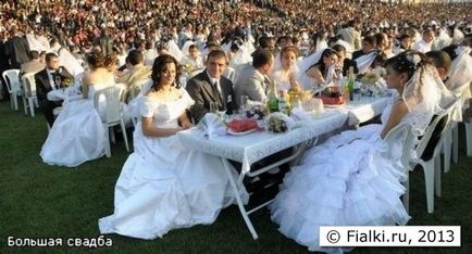 Найбільша колективна весілля в світі, фіалки (сенполії)