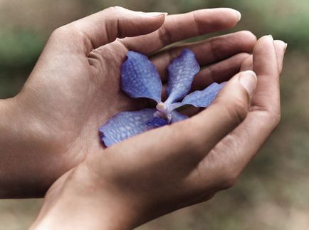 Найдорожчі косметичні засоби orchidee imperiale від guerlain, marie claire