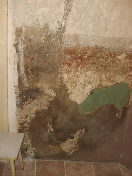 Reparația de auto-reparare într-un apartament comunal - raport - littleone 2009-2012