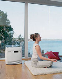 Faceți aerul în casă mai curat și mai frumos de sănătate a femeilor