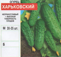 A magok a virágok és a zöldségek nagy - uborka (4) (uborka) A magok a virágok és a zöldségek nagy - uborka (4)