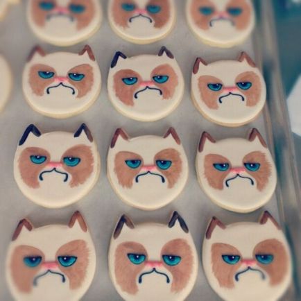 Сердитий кіт - grumpy cat фото