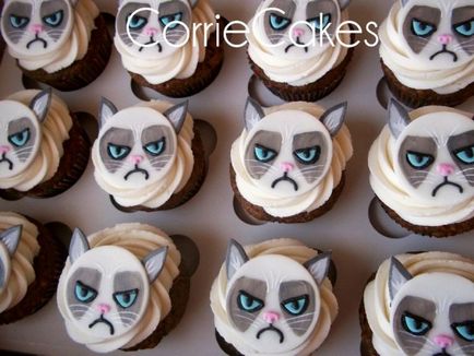 Сердитий кіт - grumpy cat фото