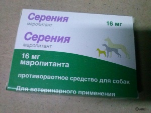 Серені (таблетки) для собак і кішок, відгуки про застосування препаратів для тварин від ветеринарів і
