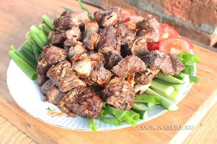 Skewers de carne de elk - bucătar pe natura