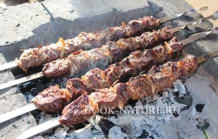 Skewers de carne de elk - bucătar pe natura