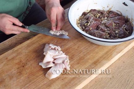 Skewers de carne de elk - bucătar pe natura