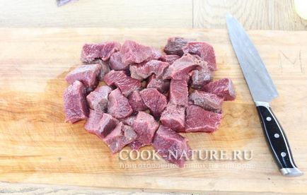 Skewers de carne de elk - bucătar pe natura