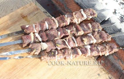 Skewers de carne de elk - bucătar pe natura