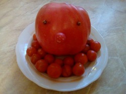 Signor grup de tomate de recoltare laudă, rețete, blanks
