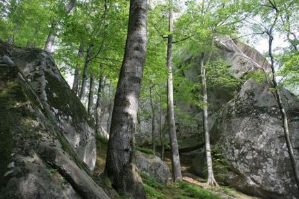 Rocks dovbush - ukraine - blog despre locuri interesante