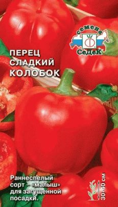 Сорти перцю для уралу, люблю свій сад