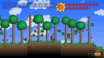 Sfaturi în terraria