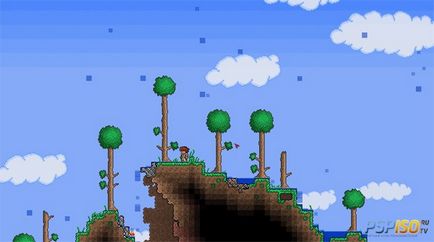 Sfaturi în terraria