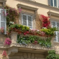 Створюємо висячі сади на своєму балконі або терасі
