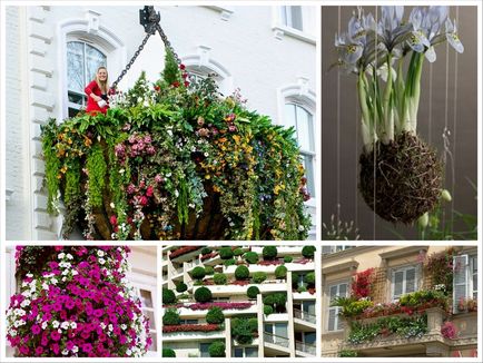 Creați grădini suspendate pe balcon sau pe terasă