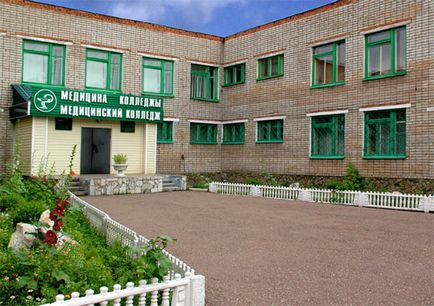 Стерлитамакский медичний коледж, Димитровский портал
