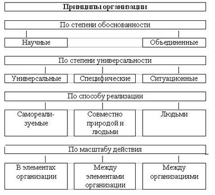 Esența principiilor organizării