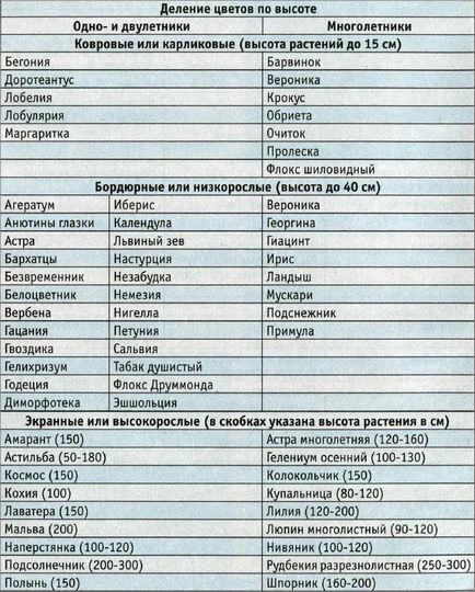 Таблиця сумісності квітів на клумбі