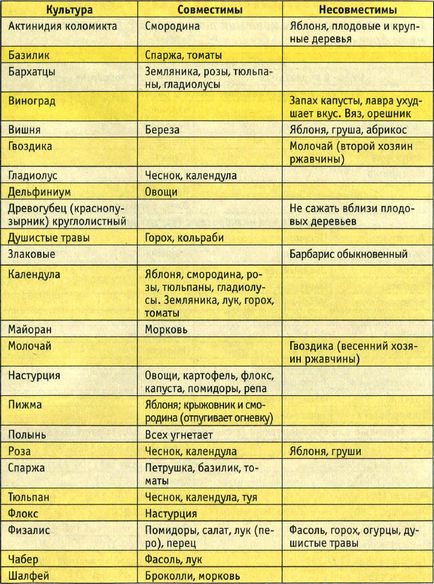 Таблиця сумісності квітів на клумбі