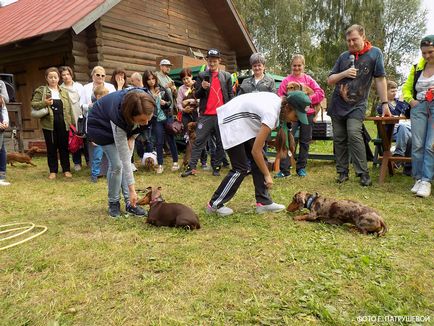 Dachshunds vizitează orașul Cehov - orașul zooinform