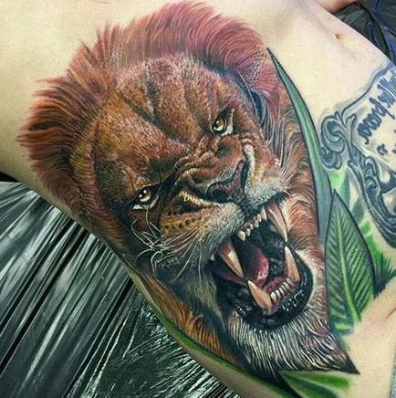 Tattoo oroszlán tetoválás értéke 40 fotók, vázlatok