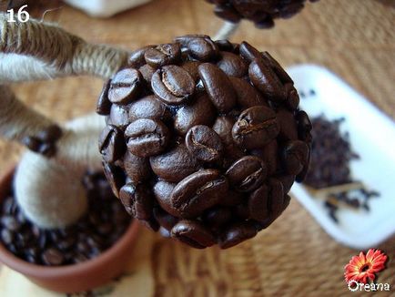 Tema zilei - cafea topiară baobab