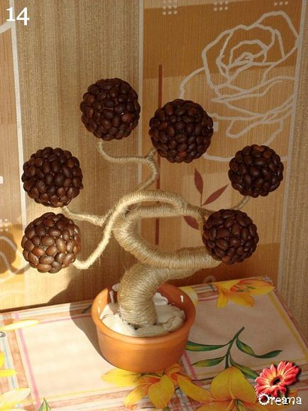 Tema zilei - cafea topiară baobab