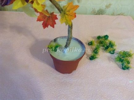 Topiary din frunze de toamnă, cu fotografii pas cu pas