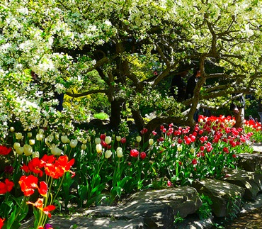 Три идеи за цветни градини сенчеста градина любимите цветя