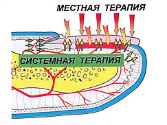 трима мікологія