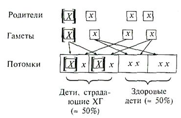 Підручник психогенетика - глава домінантне успадкування хвороба Гентінгтона (хорея Гентінгтона)