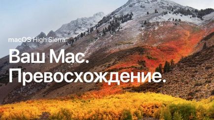 Вчені в Алтайському краї вирощували гігантських овець