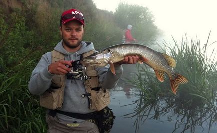 Tanulás fűfelfogó csuka (csuka) A tanulás csukát a fűben