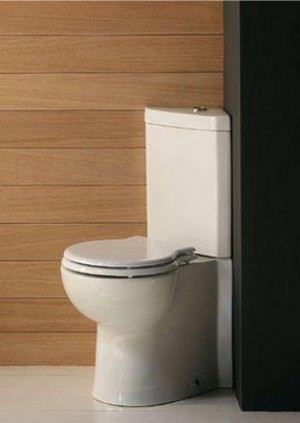 Corner WC előnyeit használja, kiválasztási kritériumok, telepítési útmutató - egy könnyű dolog