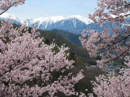 Primăvară în Japonia